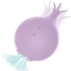 2 In 1 Vibrator, Clitoral Sucking Toy Vibrator for Women, Sex Toys for Women, Adult Toys with 5 Vibration Levels